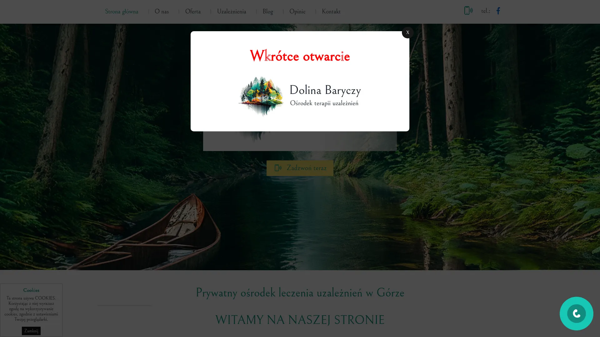 Business website screenshot
