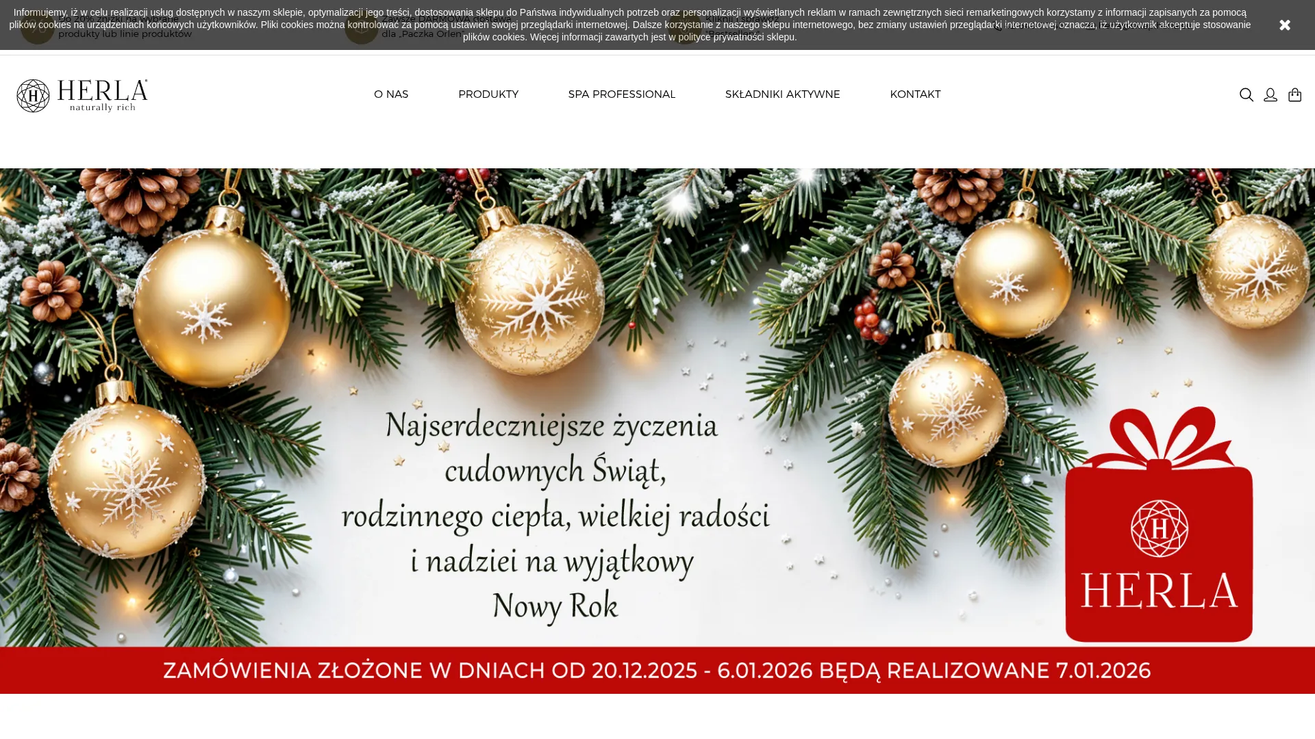 Business website screenshot